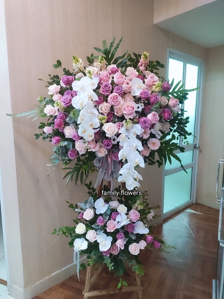 CÂY HOA  2 CÀNH LAN HỒ ĐIỆP TRẮNG CHÚC MỪNG KHAI TRƯƠNG Ở CẦU GIẤY - HÀ NỘI , HOA KHAI TRƯƠNG HÀ NỘI