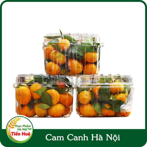 Cam Canh Hà Nội