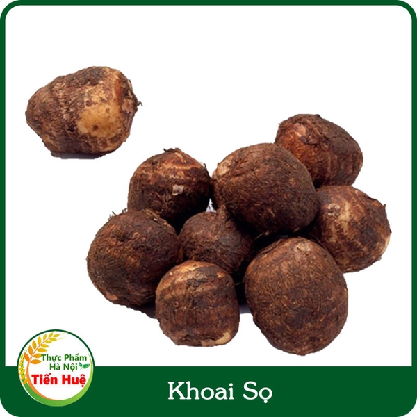 Khoai Sọ Bắc