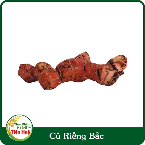 Củ Riềng Bắc