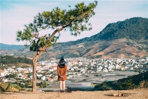 Bí quyết du lịch Đà Lạt tự túc giá rẻ