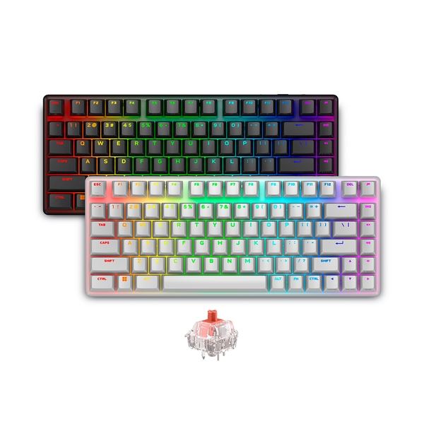 Bàn phím không dây Alienware Pro Wireless Gaming Keyboard | Switch cơ học, RGB, pin lâu