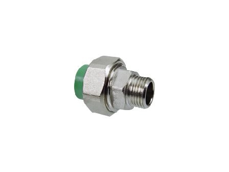 Zắc-co Ren Ngoài Đồng