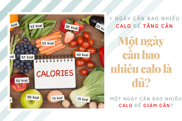 NÊN ĂN BAO NHIÊU CALO MỘT NGÀY ĐỂ GIẢM CÂN