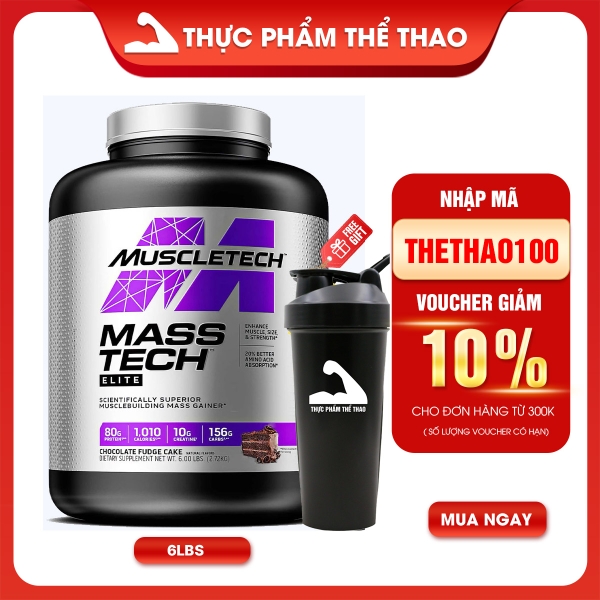 MASS TECH ELITE (6lbs)
