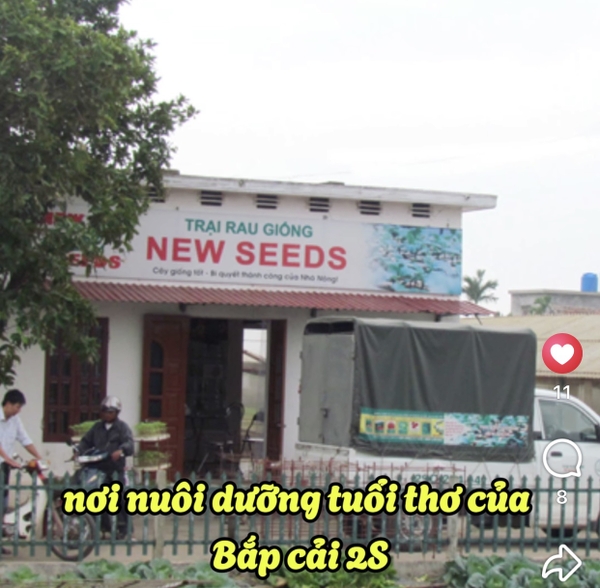 ?𝗧𝘂𝗼̂̉𝗶 𝘁𝗵𝗼̛ 𝗰𝘂̉𝗮 𝗕𝗮̆́𝗽 𝗰𝗮̉𝗶 𝟮𝗦 𝘀𝗲̃ 𝗱𝗶𝗲̂̃𝗻 𝗿𝗮 𝗻𝗵𝘂̛ 𝘁𝗵𝗲̂́ 𝗻𝗮̀𝗼?