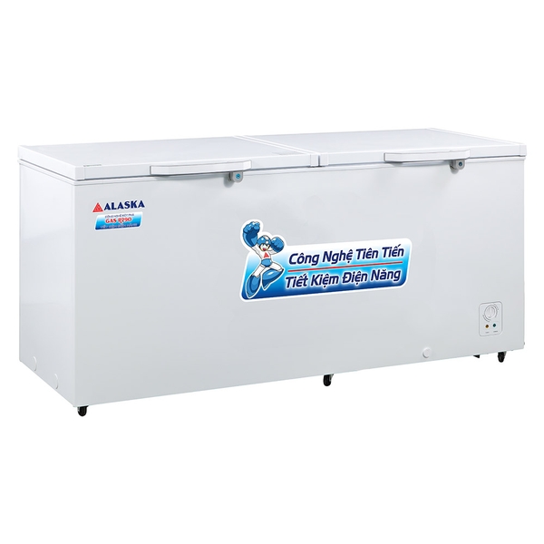 TỦ ĐÔNG HB-890