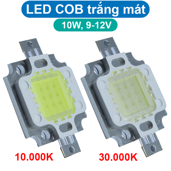 LED COB ánh sáng trắng mát công suất 12V 10W 600mA 10000K / 30000K