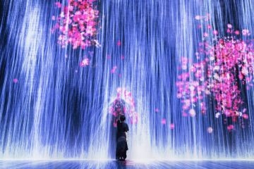 20 địa điểm chụp ảnh sống ảo đẹp nhất Singapore