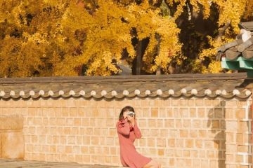5 điểm ngắm lá vàng mùa thu gần trung tâm Seoul