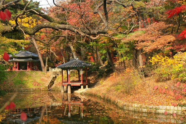 Trải nghiệm sắc thu tại cung điện ở Hàn Quốc