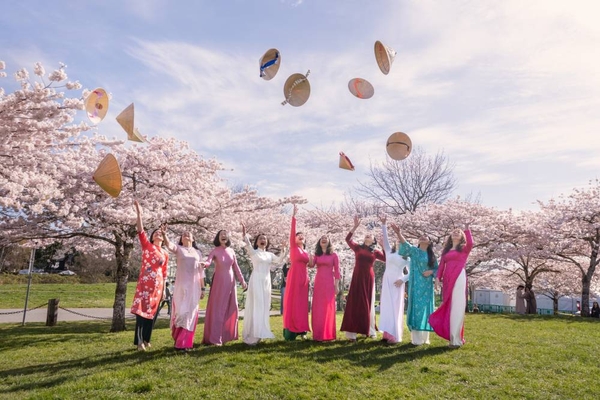 Vancouver, Canada bừng sáng sắc hoa anh đào nở
