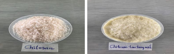 chitosan-tan-trong-nuoc
