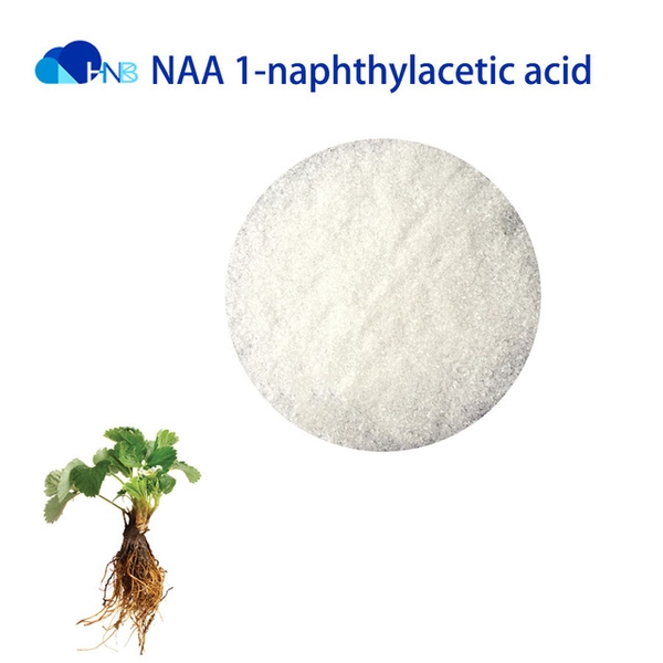 naphthylacetic-acid-97-trung-quoc