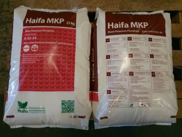 mkp-haifa