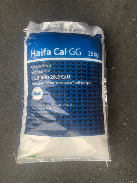 ca-no3-2-haifa