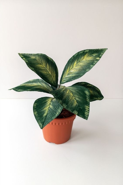 Furniture Plant 2