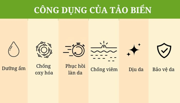 Hình ảnh bài viết