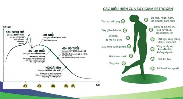 Hình ảnh bài viết
