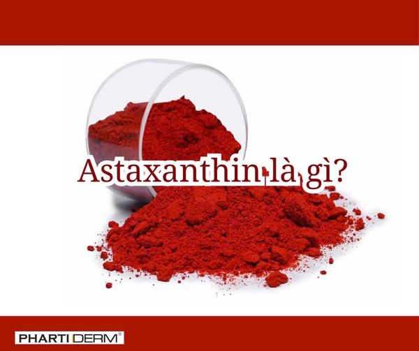 Hình ảnh bài viết