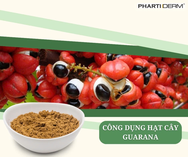 Hình ảnh bài viết
