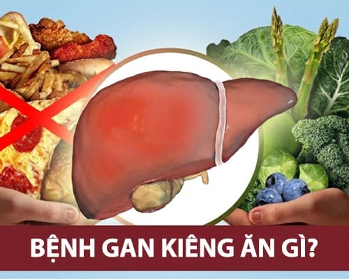 Bệnh gan kiêng ăn gì là tốt nhất? Gợi ý theo nhóm thực phẩm