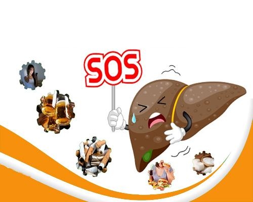 Gan bị nhiễm độc phải làm sao để phục hồi an toàn tại nhà?