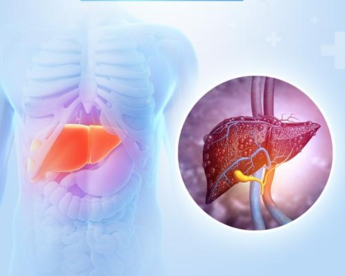 Chỉ số men gan cao bao nhiêu là nguy hiểm?