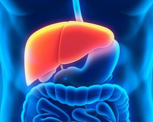 Suy gan cấp tính là gì? Triệu chứng, nguyên nhân và phòng ngừa