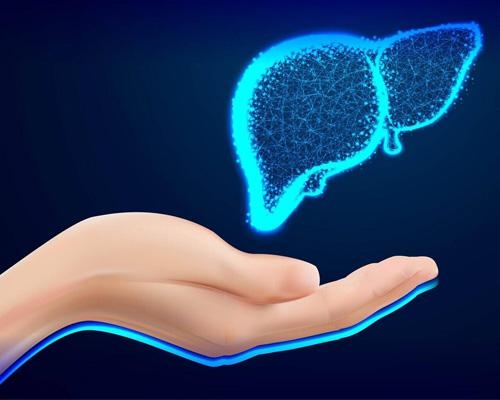 Thải độc gan nên uống sáng hay tối?