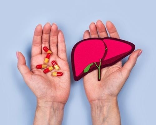 Uống thuốc bổ gan có hại thận không nếu dùng lâu dài?