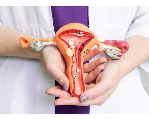 Nhóm thuốc chữa viêm âm đạo (viêm phụ khoa) thường được sử dụng