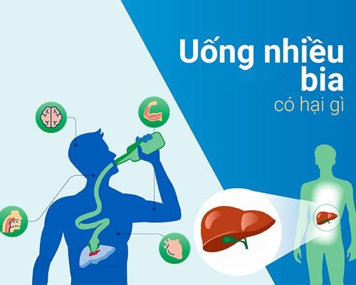 Uống nhiều bia có hại gì đến cơ thể?