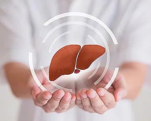 Xơ gan giai đoạn cuối có lây không? Giải đáp chi tiết, dễ hiểu