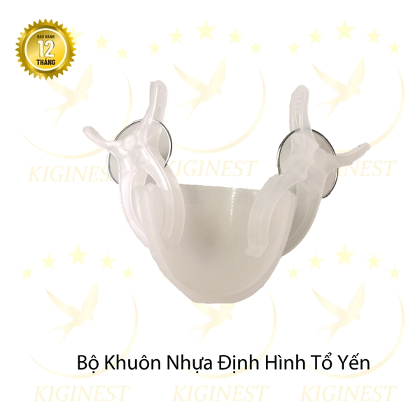 Bộ Khuôn Nhựa Không Lỗ Định Hình Tổ Yến