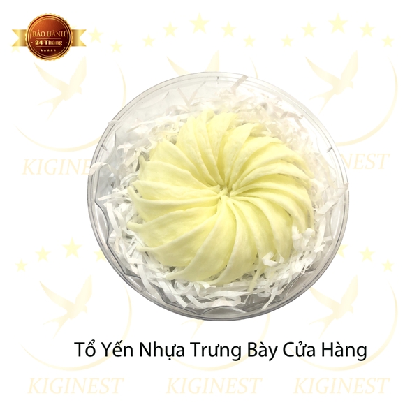 Tổ Yến Trưng Bày