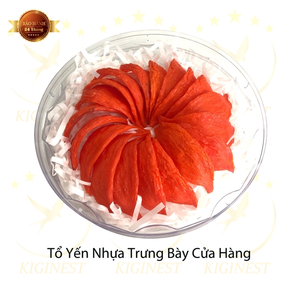 Tổ Yến Trưng Bày