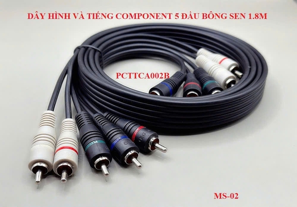 Dây hình tiếng, Component 5 đầu BÔNG SEN 1.8M -MS02 (PCTTCA002B)