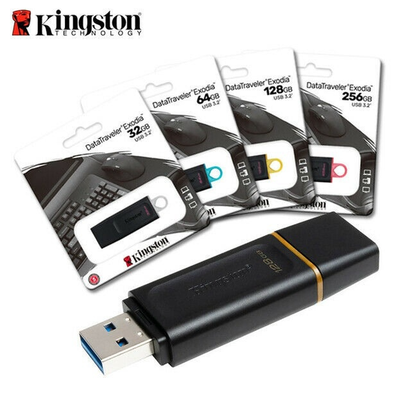USB Kingston 8GB Exodia