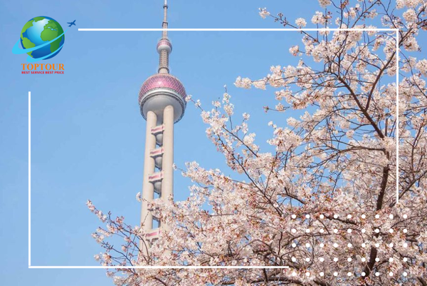 Đi đâu làm gì khi du lịch Thượng Hải mùa xuân?