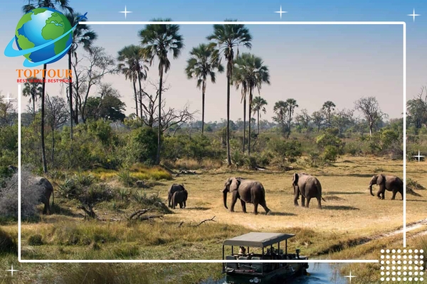 DU LỊCH BOTSWANNA CỰC NHANH VỚI DỊCH VỤ LÀM VISA BOTSWANNA