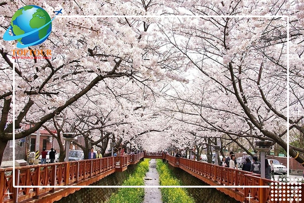 THAM KHẢO TOP 30 ĐỊA ĐIỂM ĐẸP NHẤT DU LỊCH TẠI HÀN QUỐC