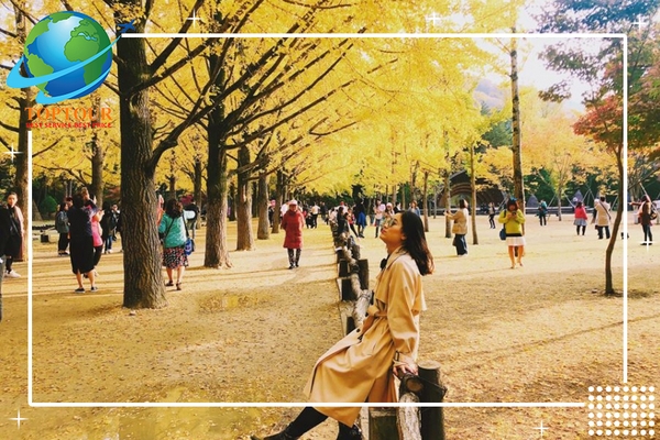 TOUR HÀN QUỐC - 4 ĐỊA ĐIỂM NÊN KHÁM PHÁ TẠI SEOUL