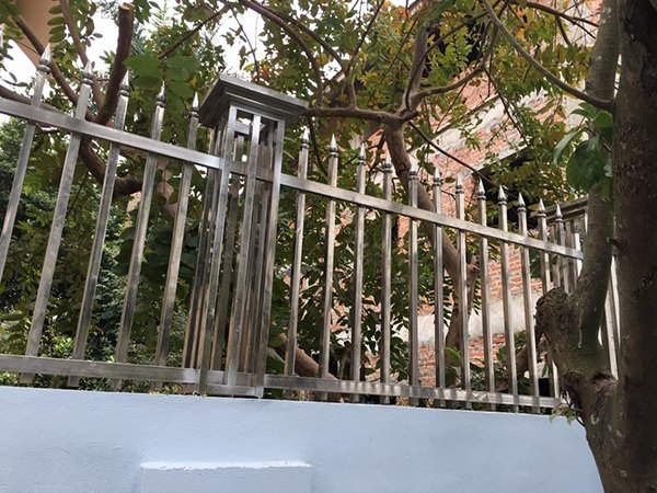 kham-pha-30-mau-hang-rao-inox-dep-hien-dai-moi-nhat-hien-nay