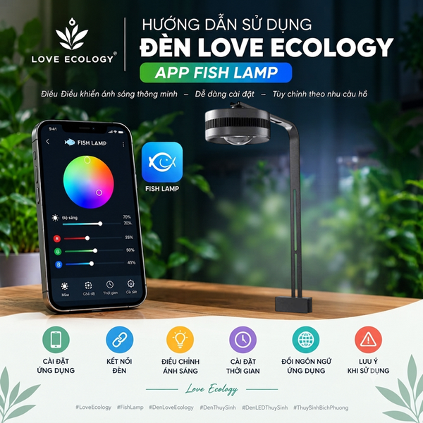 HƯỚNG DẪN SỬ DỤNG ĐÈN LOVE ECOLOGY – APP FISH LAMP