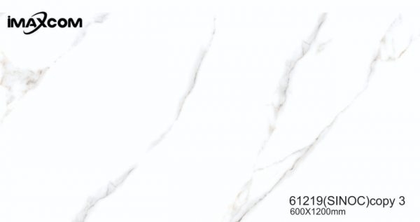 Hoàng Vũ Gạch lát nền Ấn độ 61219 600x1200 | Showroom Đăng Nguyên