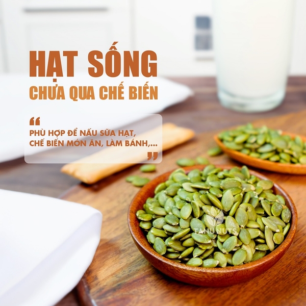 Hạt Bí xanh Ấn Độ sống