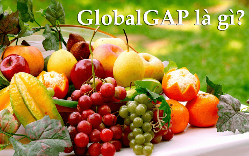 GLOBALG.A.P. – Tiêu chuẩn Toàn cầu về Thực hành Nông nghiệp tốt