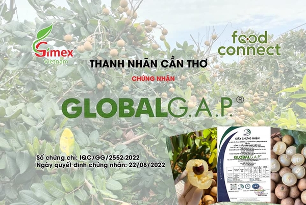 THANH NHÃN CẦN THƠ - GLOBAL GAP