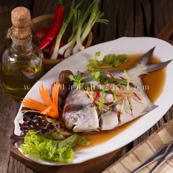 Cá Chim Trắng Làm Gì Ngon? Tổng Hợp Top 9 Món Ăn Ngon Từ Cá Chim Trắng